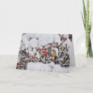 Carte de note sur la neige fraîche