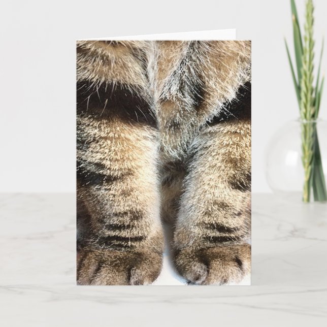Carte de note Tabby Legs - Vide dans (Devant)