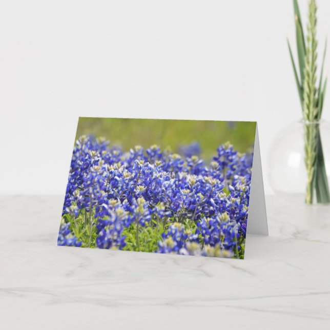 Carte de note Texas Bluebonnets (Devant)