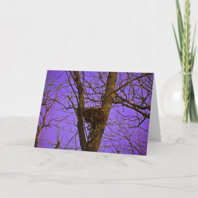 Carte de note vide de nid (Devant)