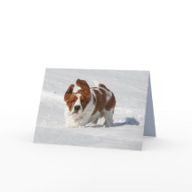 Carte de note vierge avec Basset Hound