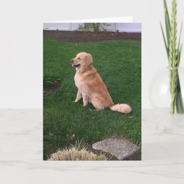 Carte de note vierge avec Jake d'or Retriever (Devant)