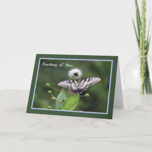 Carte de note vierge avec papillon