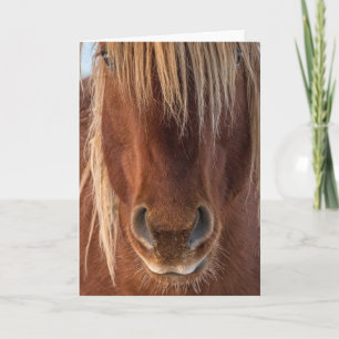 Carte de note "Whiskers"