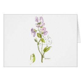Carte de notes de pois doux violet