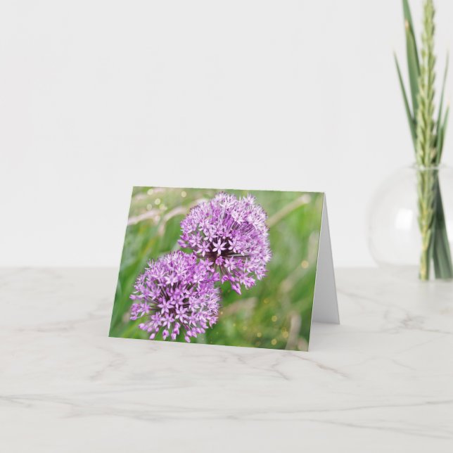 Carte de notes Magical Alliums (Devant)