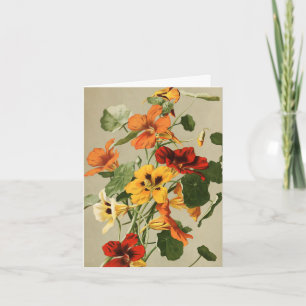 Carte de notes Nasturtiums vintages