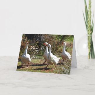 Carte De Nous À Vous - Sortir