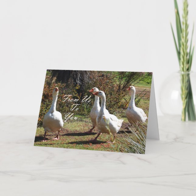 Carte De Nous À Vous - Sortir (Devant)