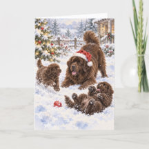 Carte de nouveau brun et chiots jouant dans la nei