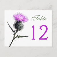Carte de numéro de table pourpre, verte, chardon b