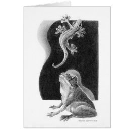 Carte de observation de Gecko