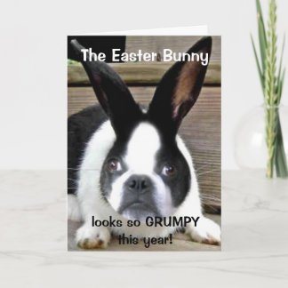 Carte de Pâques 2011 de Shorty