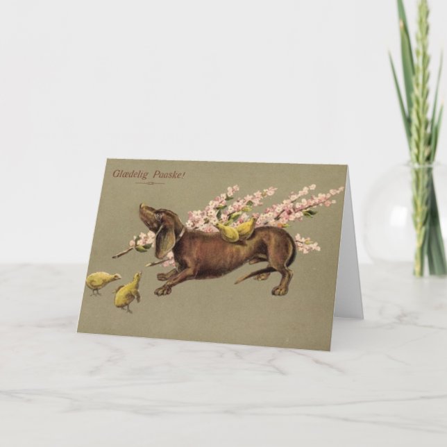 Carte de Pâques Dachshund danoise - Glæ delig Paas (Devant)