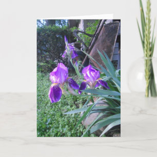 Carte de Pâques de "Purple Iris"