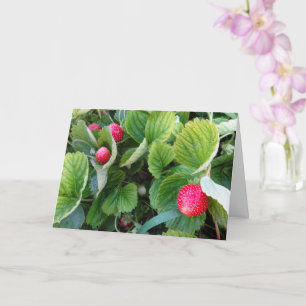 Carte de patchs fraises