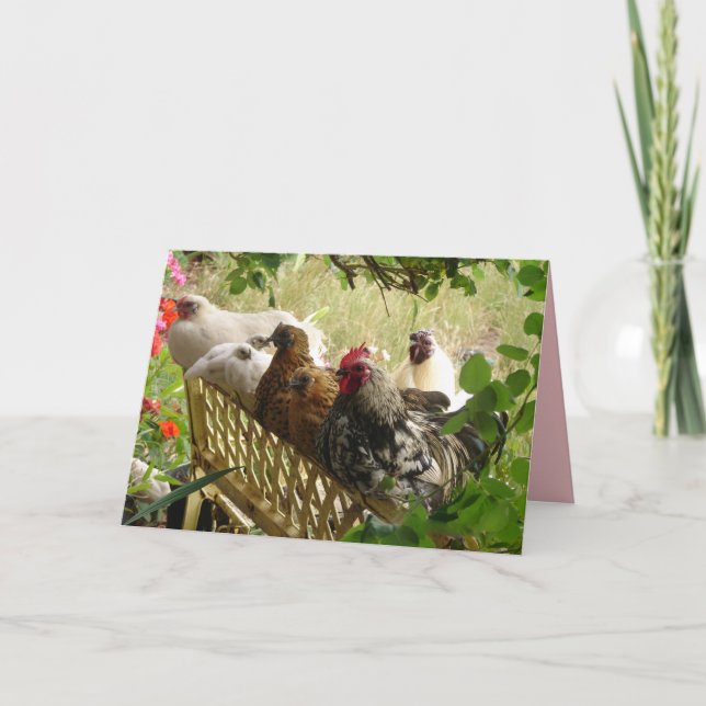 Carte de pays de la ferme Chook Cooster and Chicke (Devant)