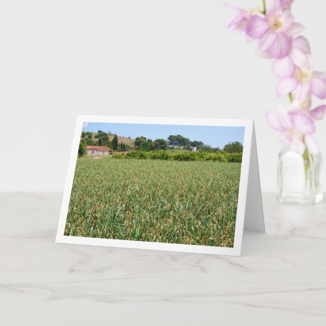 Carte de paysage Onion Field (Orchidée)