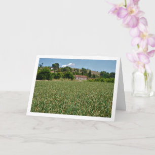Carte de paysage Onion Field