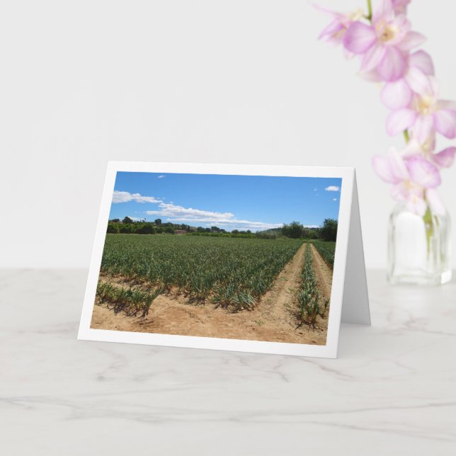 Carte de paysage Onion Field (Orchidée)