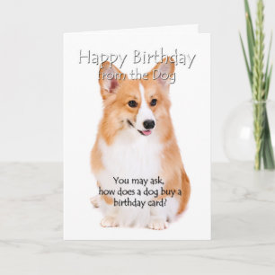 Carte De Pembroke Corgi