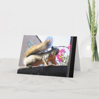 Carte de pendaison de crémaillère du monde