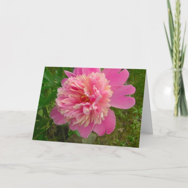 Carte de Peony Birthday (Devant)