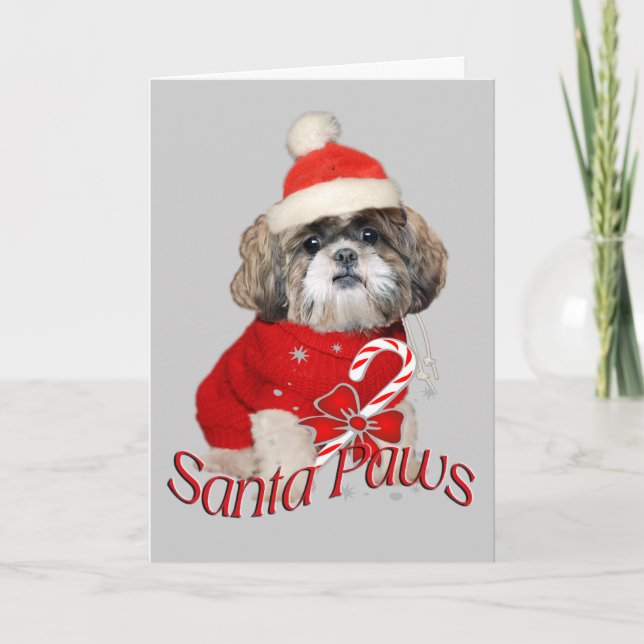 Carte de Père Noël Shih Tzu (Devant)