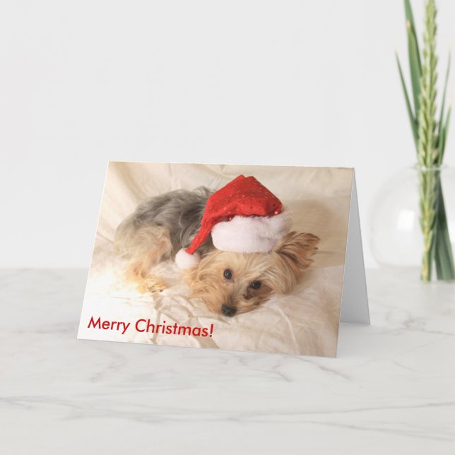 Carte de Père Noël Yorkie (Devant)