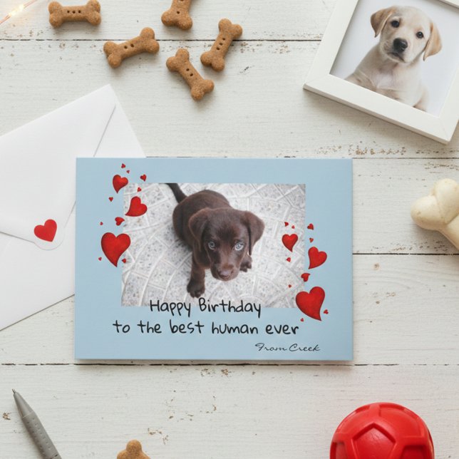 Carte de Personnaliser d'anniversaire pour animaux (Créateur téléchargé)