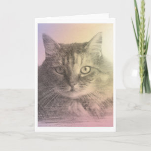 carte de perte pour animal de chat