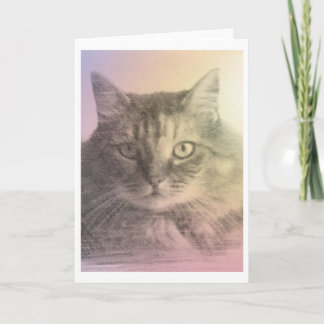 carte de perte pour animal de chat
