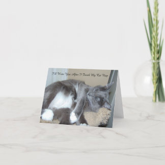 Carte de petit somme de chat