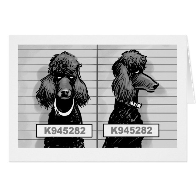 Carte de photo de détenu de chien (Devant horizontal)