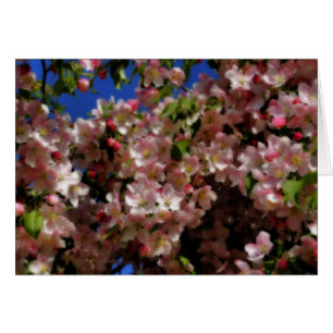 Carte de photographie à fleurs rose