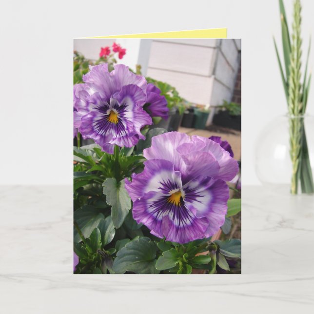 Carte de photographie de pensée violette fleurs fl (Devant)