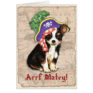 Carte de pirate Chihuahua longue couche