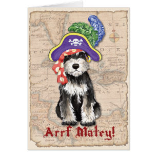 Carte de pirate de Schnauzer miniature