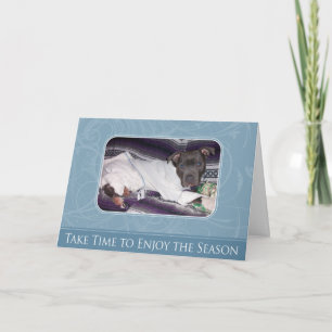 Carte de Pitbull de vacances