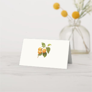 Carte De Placement Apricots orange vintage