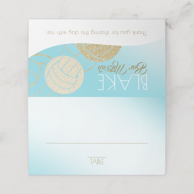 Carte De Placement Carte de siège de volley-ball (Extérieur déplié)