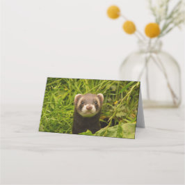 Carte De Placement Ferret Brown mignon dans l'herbe photo
