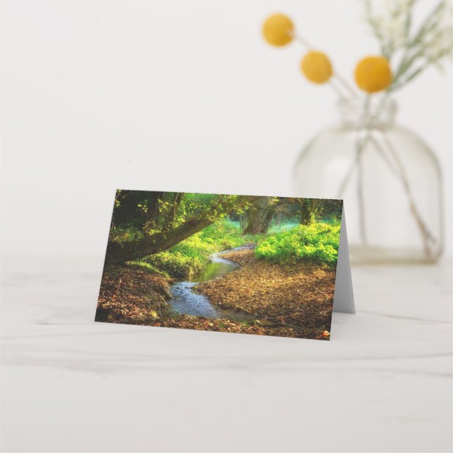 Carte De Placement Forest Creek Belle nature Paysage Photo (Devant)
