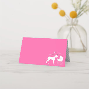 Carte De Placement Grand Baby shower Dane