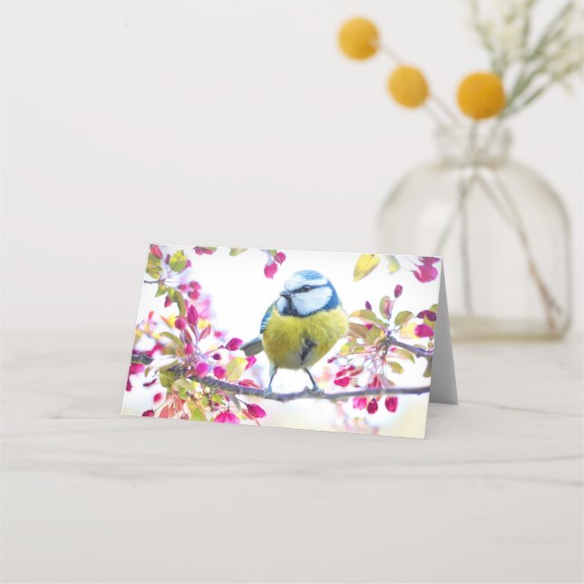 Carte De Placement Joli oiseau bleu et jaune sur une branche Photogra (Devant)