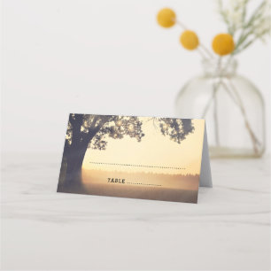 Carte De Placement Mariage de rêve de soirée d'été