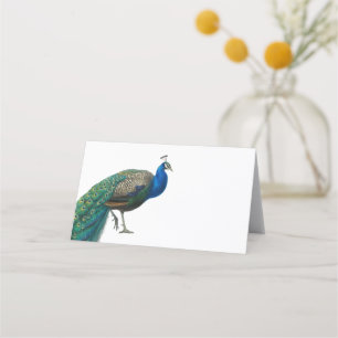 Carte De Placement Mariage Peacock vintage