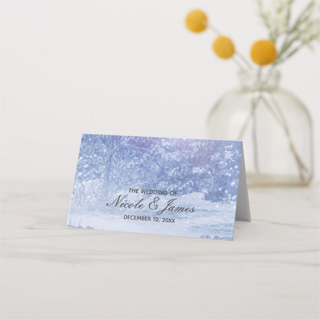 Carte De Placement Pins d'hiver Lumières de la forêt Snowflakes Maria (Devant)