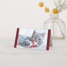 Carte De Placement Tabby gris mou Chat avec Noël Casquette