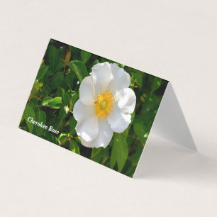 Carte de pliage Cherokee Rose